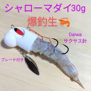 ダイワ(DAIWA)のえさパッカー・シャローマダイ・冷凍エビがピチピチ泳いで真鯛に猛アピールします。(ルアー用品)