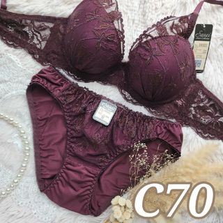 №694【C70】ディープシアーエンブロイダリーブラジャー&フルバックショーツ(ブラ&ショーツセット)