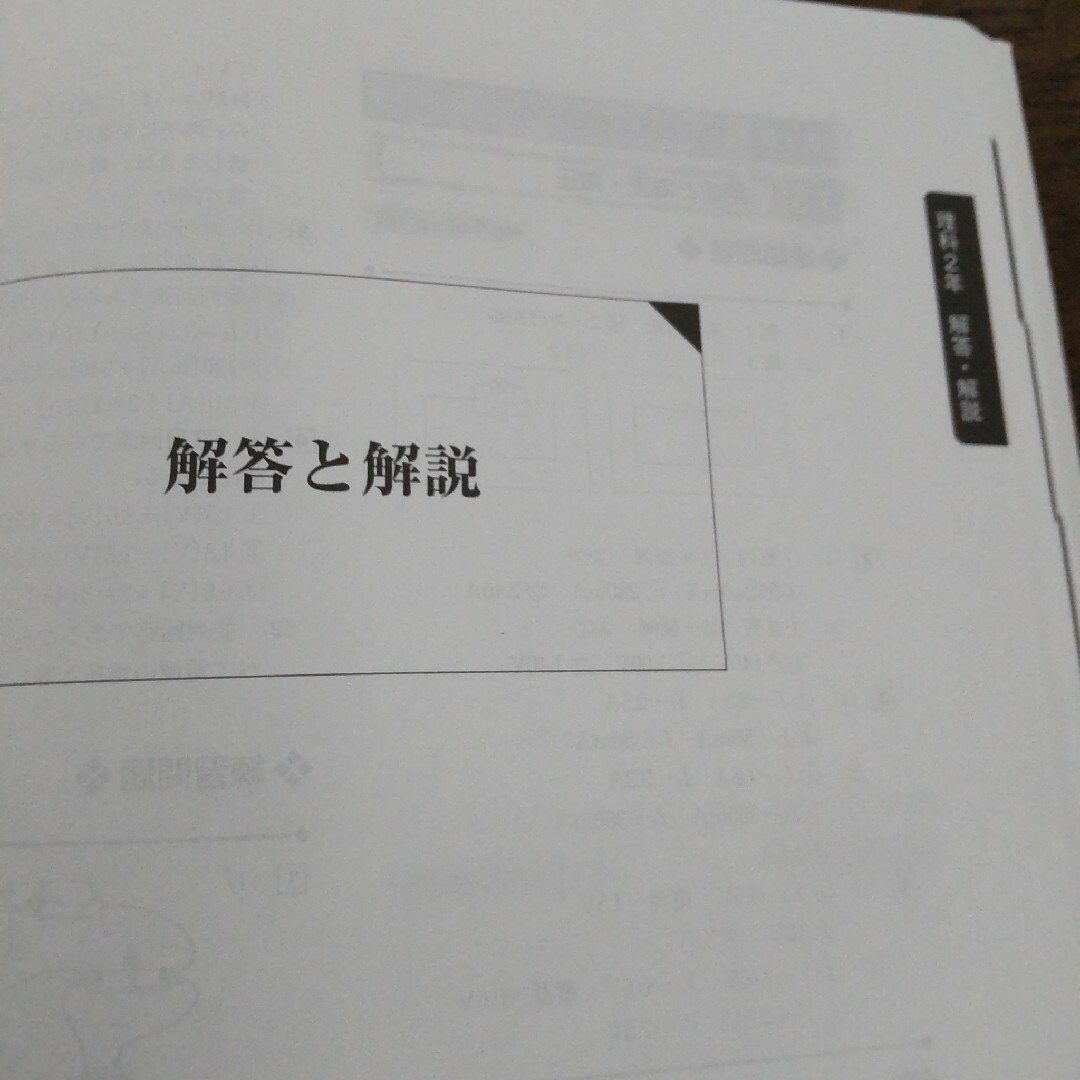 臨海セミナー　テキスト　冬期講習　中学2年　理科　社会　塾 エンタメ/ホビーの本(語学/参考書)の商品写真