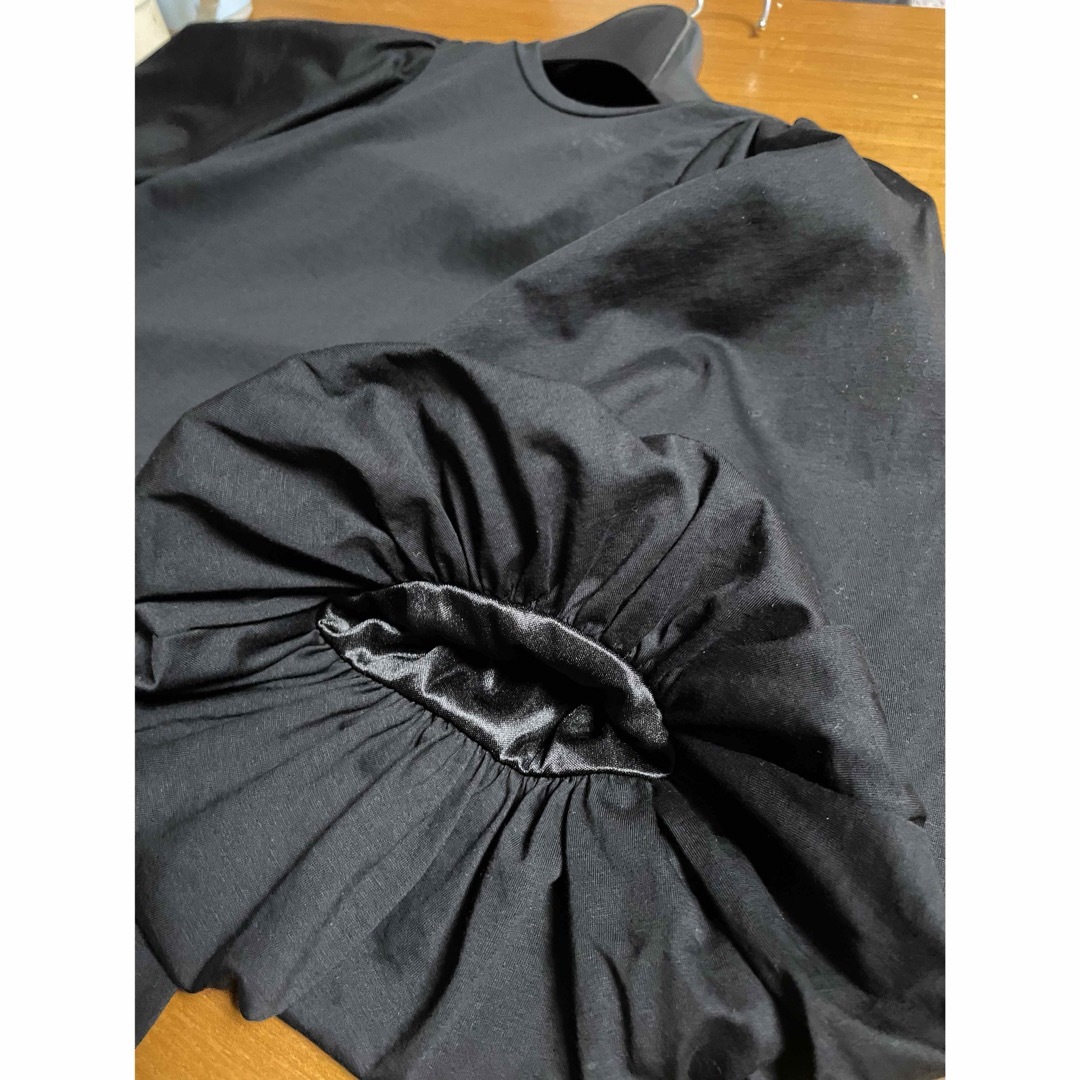 Ezick / バルーンスリーブカットソー レディースのトップス(カットソー(半袖/袖なし))の商品写真