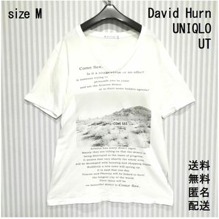 ユニクロ(UNIQLO)のUT ユニクロ【M】半袖 Tシャツ【男女兼用】デビッドハーン 送料無料 匿名配送(Tシャツ/カットソー(半袖/袖なし))