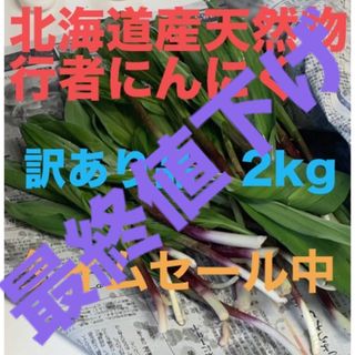 北海道産天然物行者にんにく　2kg(野菜)