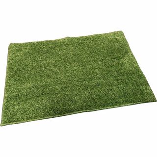 【特価商品】Arie(アーリエ) 玄関マット グリーン 45×65cm 年中快適(ラグ)