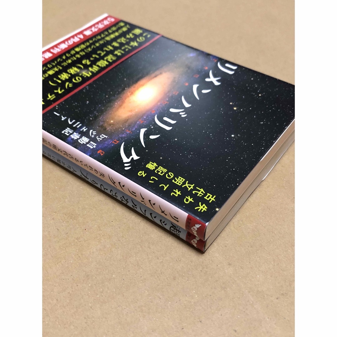 「超シンプルなさとり方」と「リメンバリング」2冊セット　5次元文庫 エンタメ/ホビーの本(その他)の商品写真