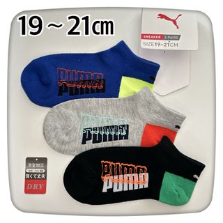 プーマ(PUMA)のキッズ★PUMA靴下★3足セット(靴下/タイツ)