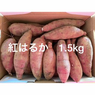 紅はるか　1.5kg さつまいも　小さいサイズ