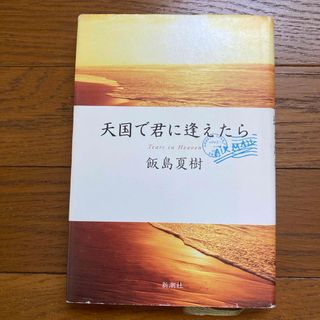 天国で君に逢えたら(文学/小説)