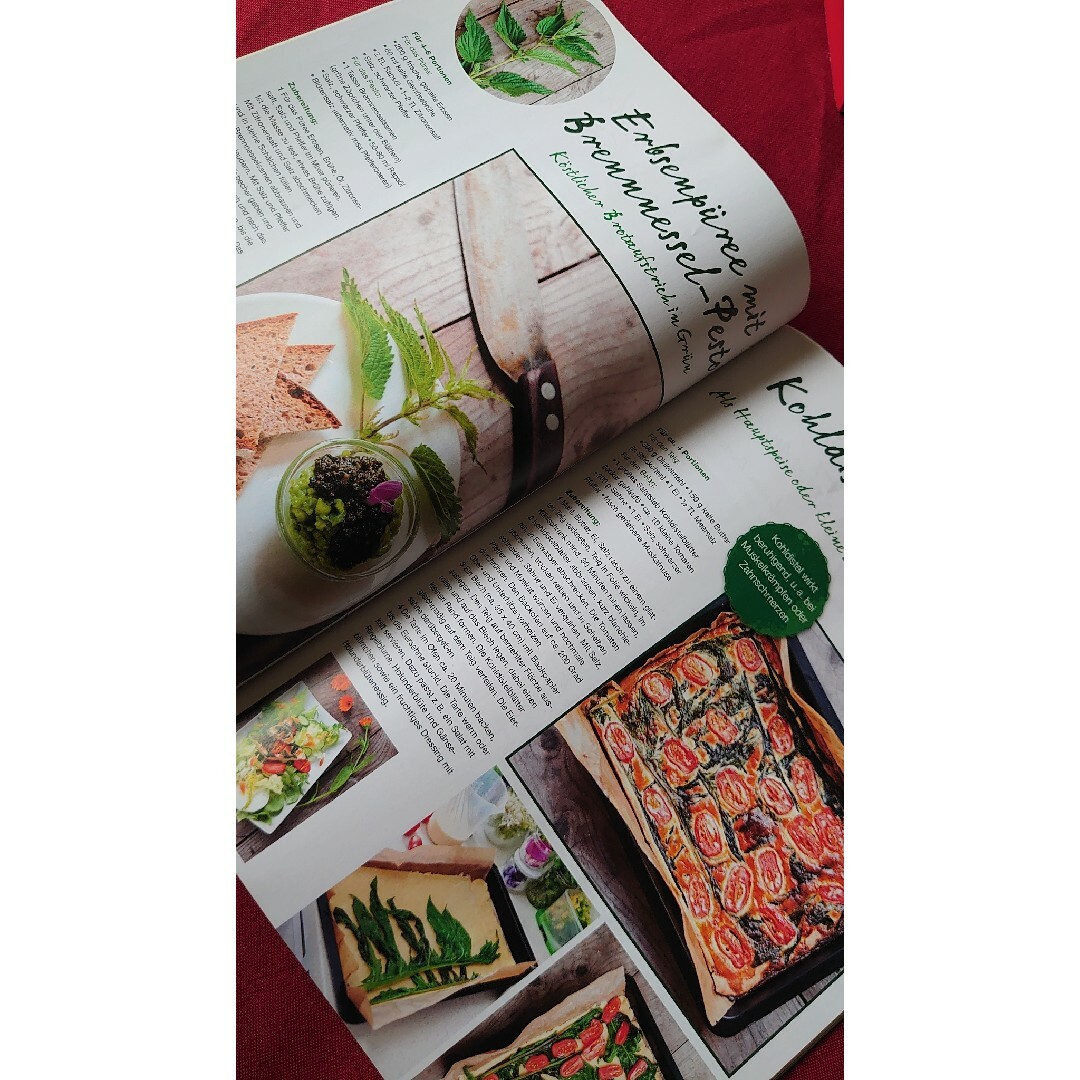 自然派健康のための雑誌（薬草たくさん）　ヨーロッパから エンタメ/ホビーの雑誌(生活/健康)の商品写真