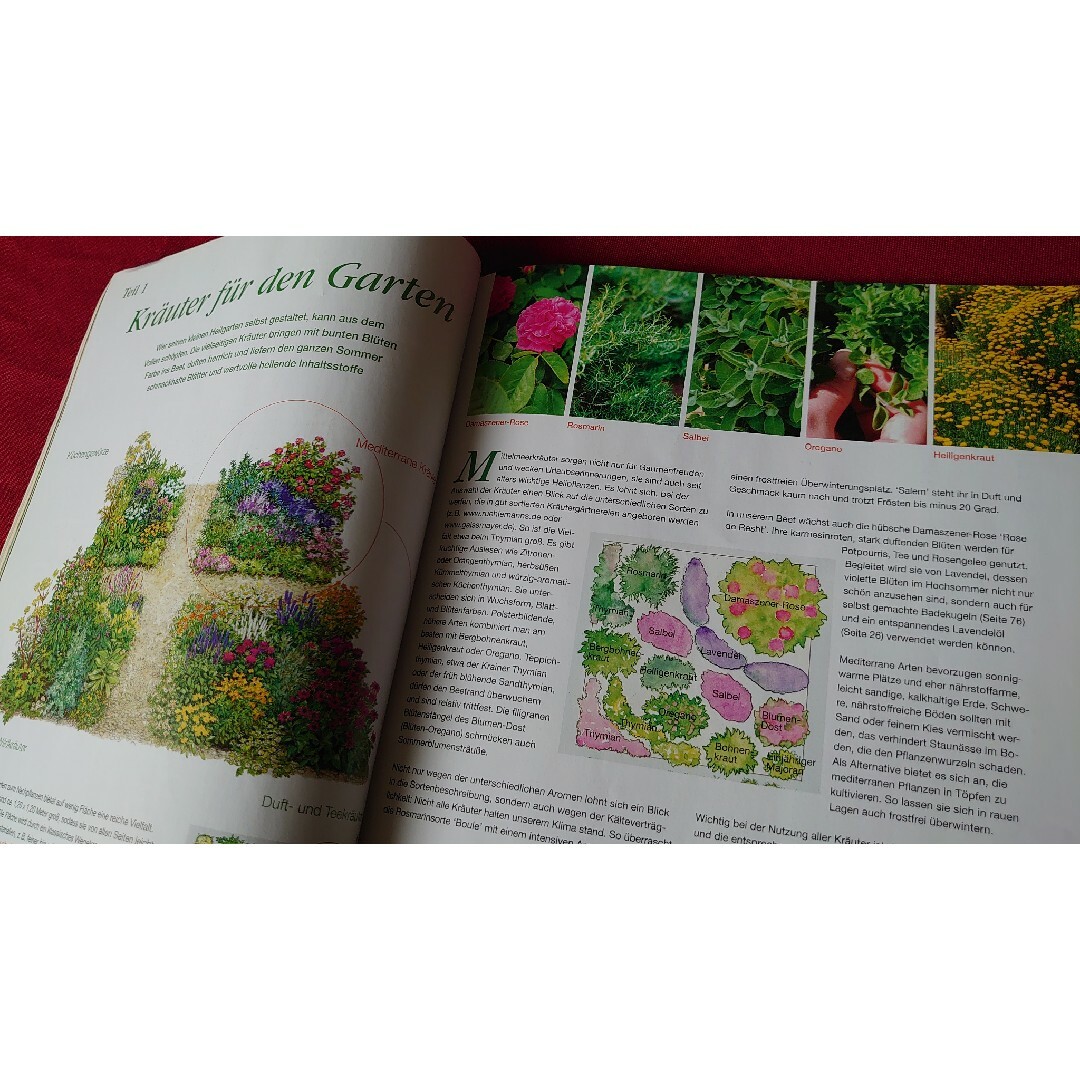 自然派健康のための雑誌（薬草たくさん）　ヨーロッパから エンタメ/ホビーの雑誌(生活/健康)の商品写真