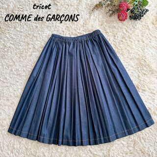 コムデギャルソン(COMME des GARCONS)のトリコ・コムデギャルソン　デニム　プリーツスカート(ひざ丈スカート)