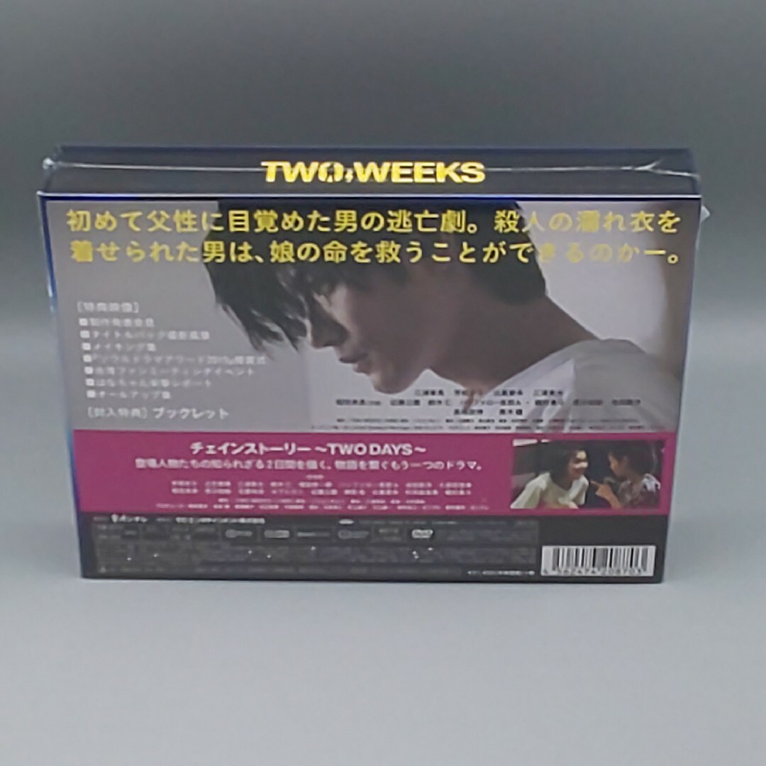 TWO WEEKS　未開封DVD-BOX　三浦春馬　芳根京子　比嘉愛未　三浦貴大 エンタメ/ホビーのDVD/ブルーレイ(TVドラマ)の商品写真