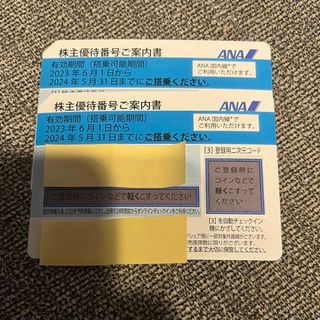 エーエヌエー(ゼンニッポンクウユ)(ANA(全日本空輸))のANA 株主優待　2枚(航空券)