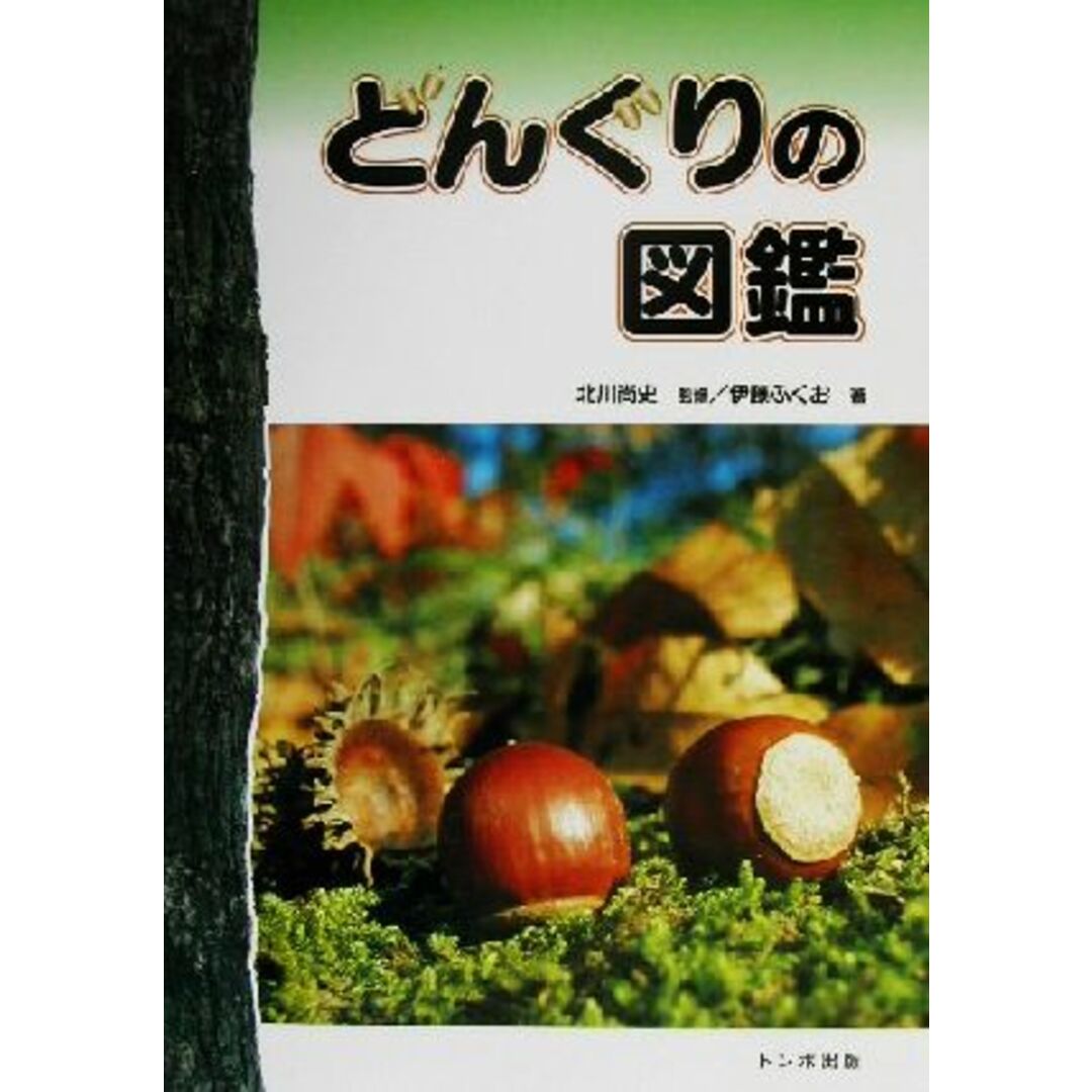 どんぐりの図鑑／伊藤ふくお(著者),北川尚史 エンタメ/ホビーの本(科学/技術)の商品写真