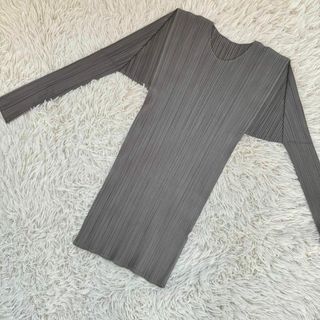 プリーツプリーズイッセイミヤケ(PLEATS PLEASE ISSEY MIYAKE)の【人気】プリーツプリーズ　カットソー　長袖シャツ　グレー　サイズ5(カットソー(長袖/七分))