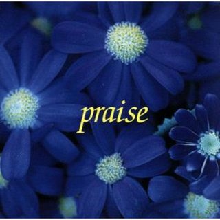 ＰＲＡＩＳＥ(ヒーリング/ニューエイジ)