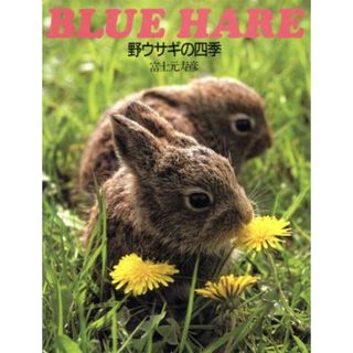 野ウサギの四季 ＢＬＵＥ　ＨＡＲＥ／富士元寿彦(著者)(科学/技術)