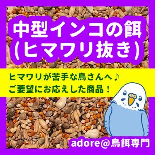 【ヒマワリ抜き】中型インコの餌 800ｇ(鳥)