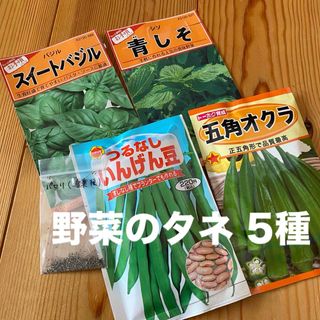 野菜のタネ　5種(その他)