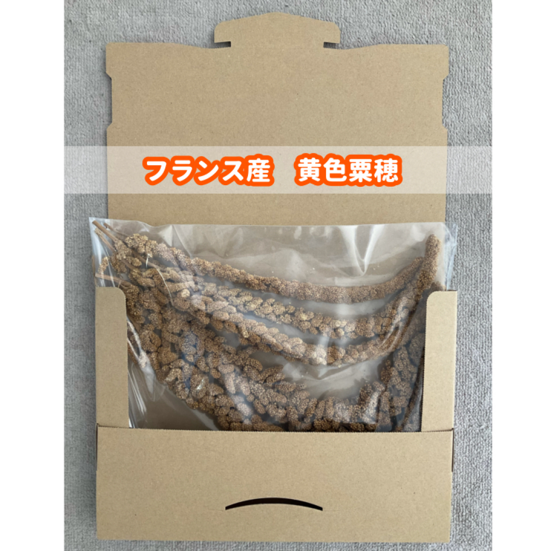 フランス産 黄色粟穂 150ｇ その他のペット用品(鳥)の商品写真