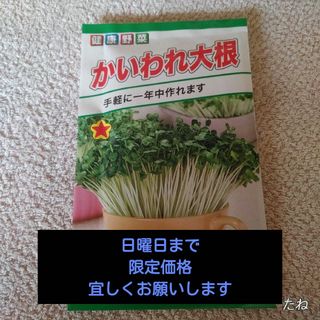 【匿名配送】未開封　未使用　スプラウト栽培　ーーー室内ーーー(野菜)