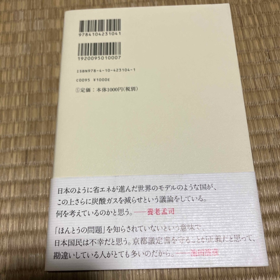 ほんとうの環境問題 エンタメ/ホビーの本(その他)の商品写真