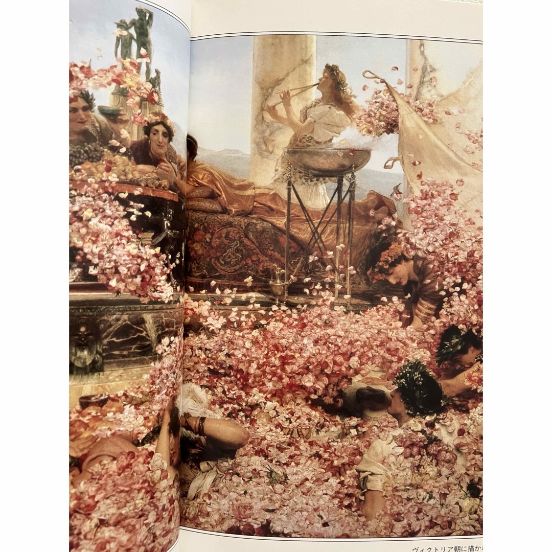 薔薇 エンタメ/ホビーの本(趣味/スポーツ/実用)の商品写真