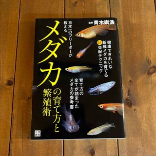 日本一のブリ－ダ－が教えるメダカの育て方と繁殖術