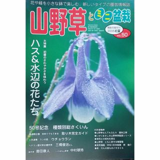 山野草とミニ盆栽　VOL.50 05年初夏号(趣味/スポーツ)