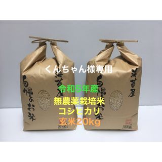 くんちゃん様専用 無農薬コシヒカリ玄米20kg(5kg×4)令和5年産(米/穀物)