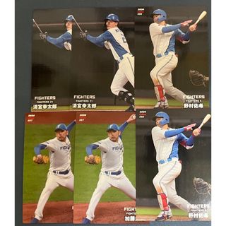 北海道日本ハムファイターズ プロ野球チップスカードセット(その他)