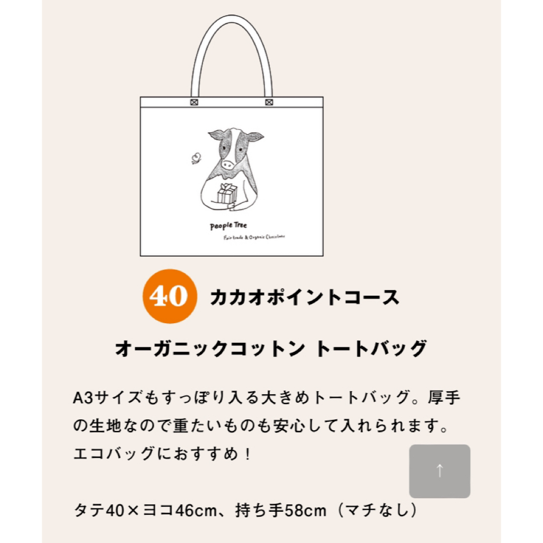 ピープルツリー　チョコレート　カカオポイント チケットのチケット その他(その他)の商品写真