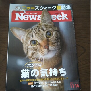 Newsweek 　ニューズウィーク  [猫のホントの気持ち]