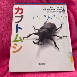 「カブトムシ」の絵本(絵本/児童書)