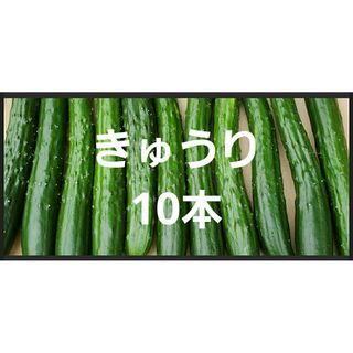 きゅうり10本(野菜)