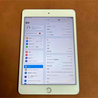 iPad - 7418 iPad mini5 第5世代 256GB SIMフリー