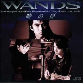 (CD)時の扉／WANDS