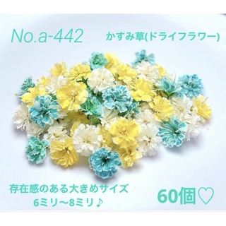 No.a-442かすみ草(ドライフラワー)♪大きめサイズ6ミリ～8ミリ 60個(ドライフラワー)