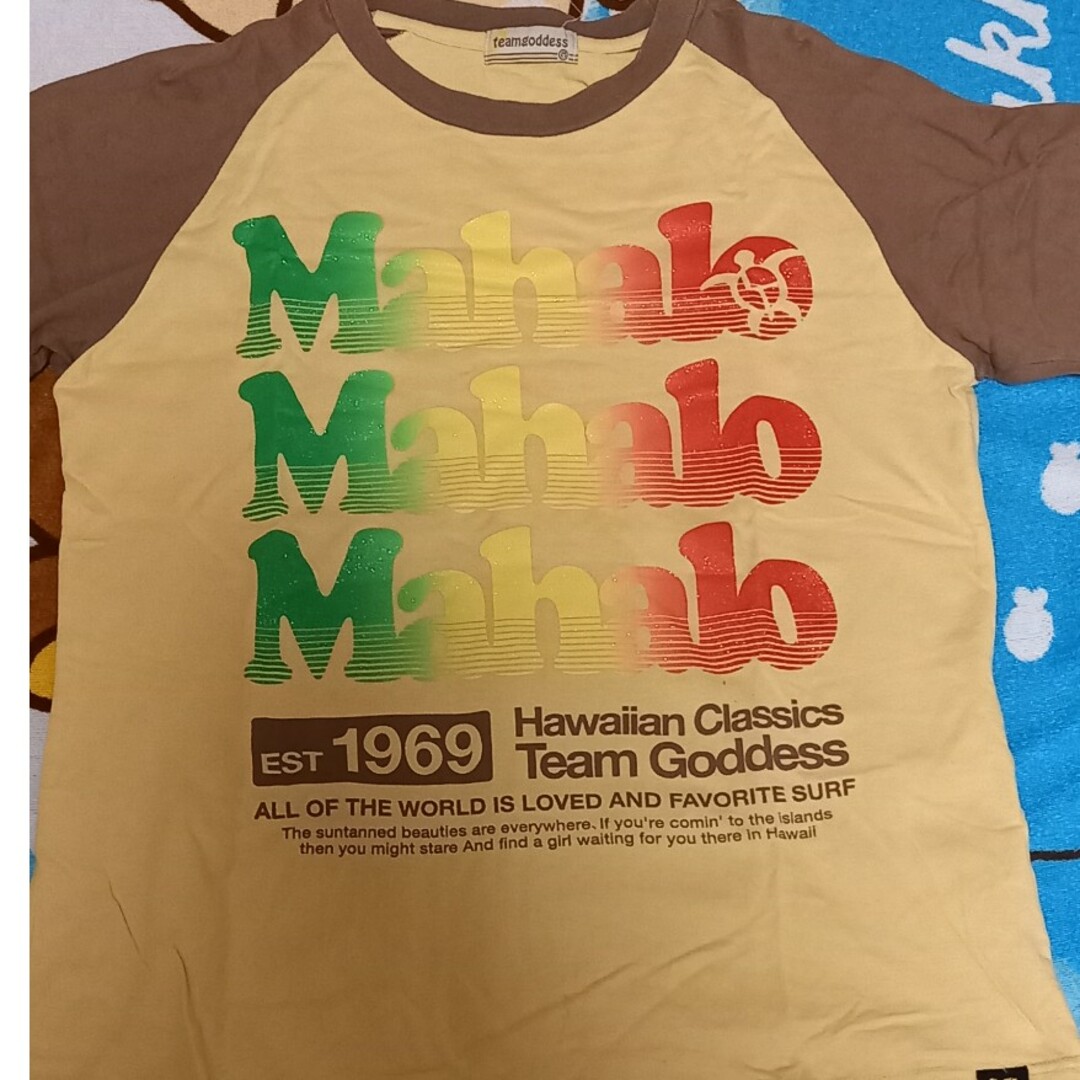 半袖Tシャツ　M メンズのトップス(Tシャツ/カットソー(半袖/袖なし))の商品写真