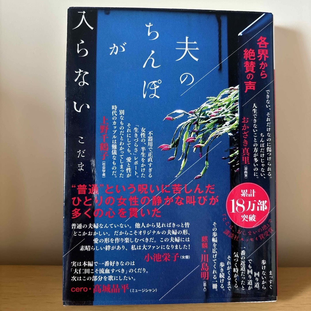 夫のちんぽが入らない エンタメ/ホビーの本(その他)の商品写真