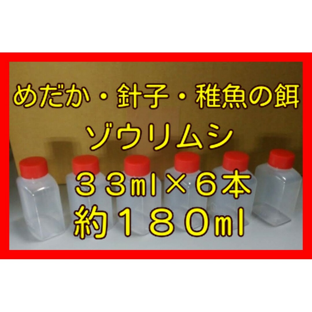 めだかの餌(ゾウリムシ)を　プラスチック容器(３３ml)　６本　#ゾウリムシ その他のペット用品(アクアリウム)の商品写真