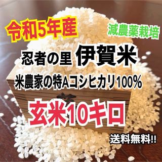 令和5年産伊賀米特Aコシヒカリ100%玄米10キロ (農家直送)減農薬栽培(米/穀物)