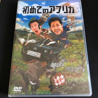 水曜どうでしょう　初めてアフリカ　DVD(その他)