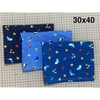 [24]ランチョンマット　ランチマット　ハンドメイド　30x40 3枚セット(外出用品)