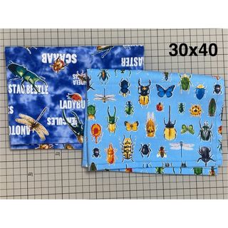 [27]ランチョンマット　ランチマット　ハンドメイド　30x40 2枚セット(外出用品)