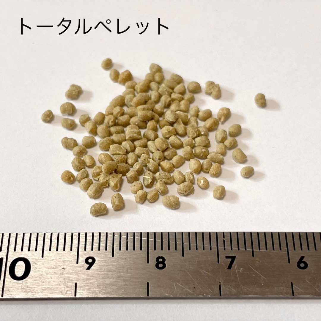 【ワサビ様】イースター インコの総合栄養食 トータルペレット 2個 その他のペット用品(鳥)の商品写真