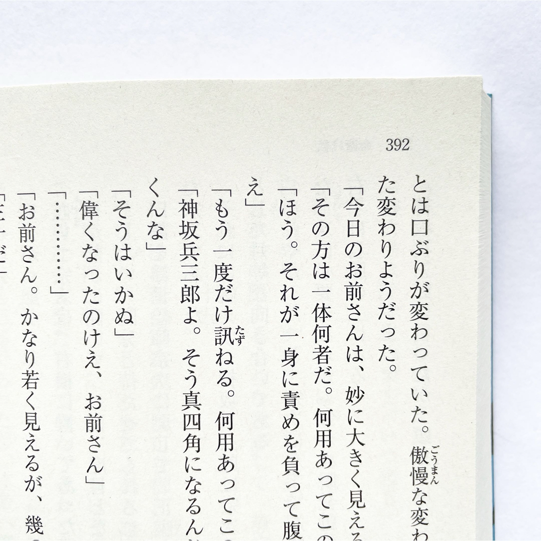 命賭け候　本　小説　時代書　江戸　絵　絵画　妖し絵　浮世絵宗次日月抄 エンタメ/ホビーの本(文学/小説)の商品写真