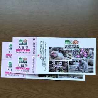 高尾山さる園　入園券４枚(その他)