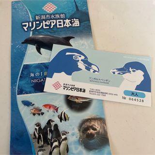 新潟県新潟市水族館チケット！マリンピア日本海招待券