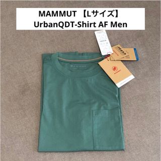 マムート(Mammut)のMAMMUT(マムート) UrbanQDT-Shirt AF Men・Tシャツ(Tシャツ/カットソー(半袖/袖なし))