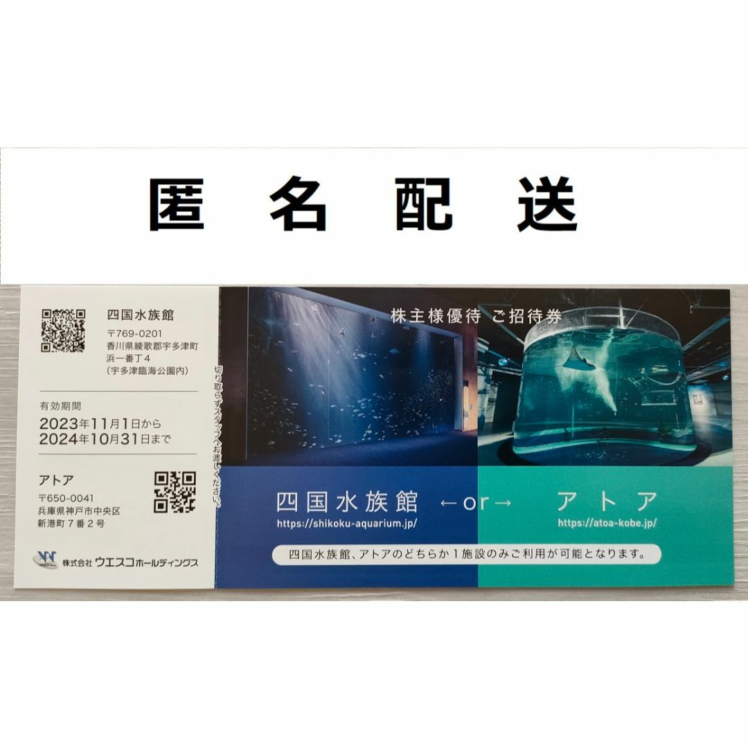 四国水族館　アトア　株主優待招待券【匿名配送】 チケットの施設利用券(水族館)の商品写真